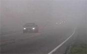 driving in fog
