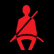 Seat Belt Reminder warning light