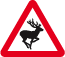 wild-animals